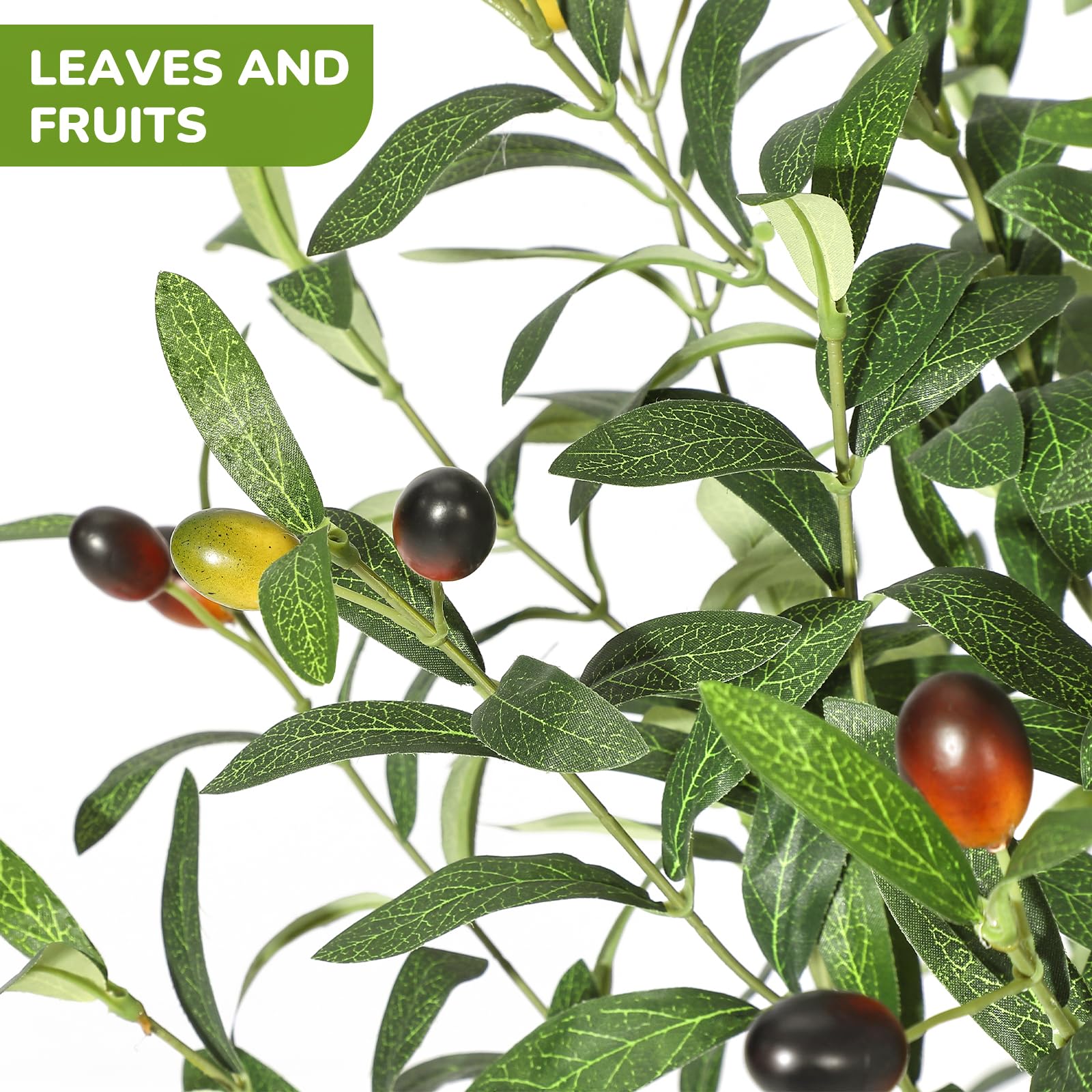 Détails des feuilles et des olives décoratives
